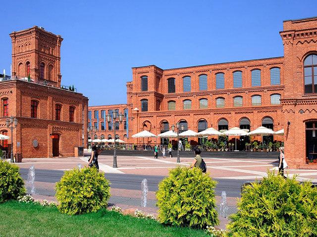 Torun, the city of Copernicus - Full-Day Private Tour