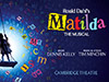 Matilda The Musical