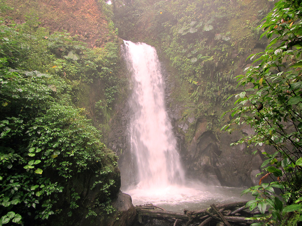 La Paz Waterfall Gardens - San José / Central Valley