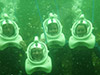 Seaquarium Sea Trek Reef Encounter