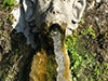 Tívoli Tour: Villa D'Este and Hadrian's Villa