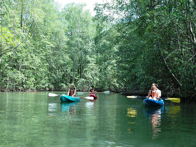 Damas Island Kayaking Tour