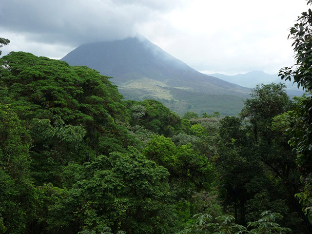 Arenal hanging bridges