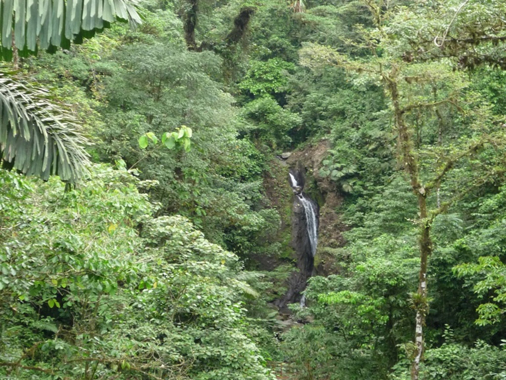 Arenal hanging bridges