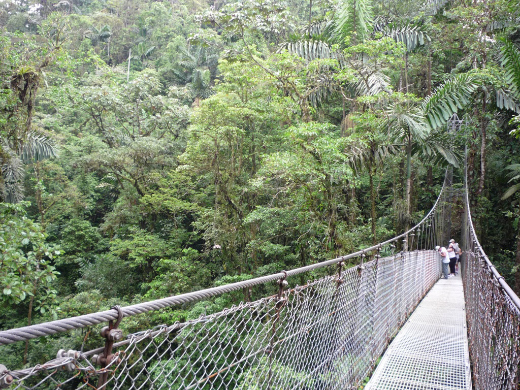 Arenal hanging bridges