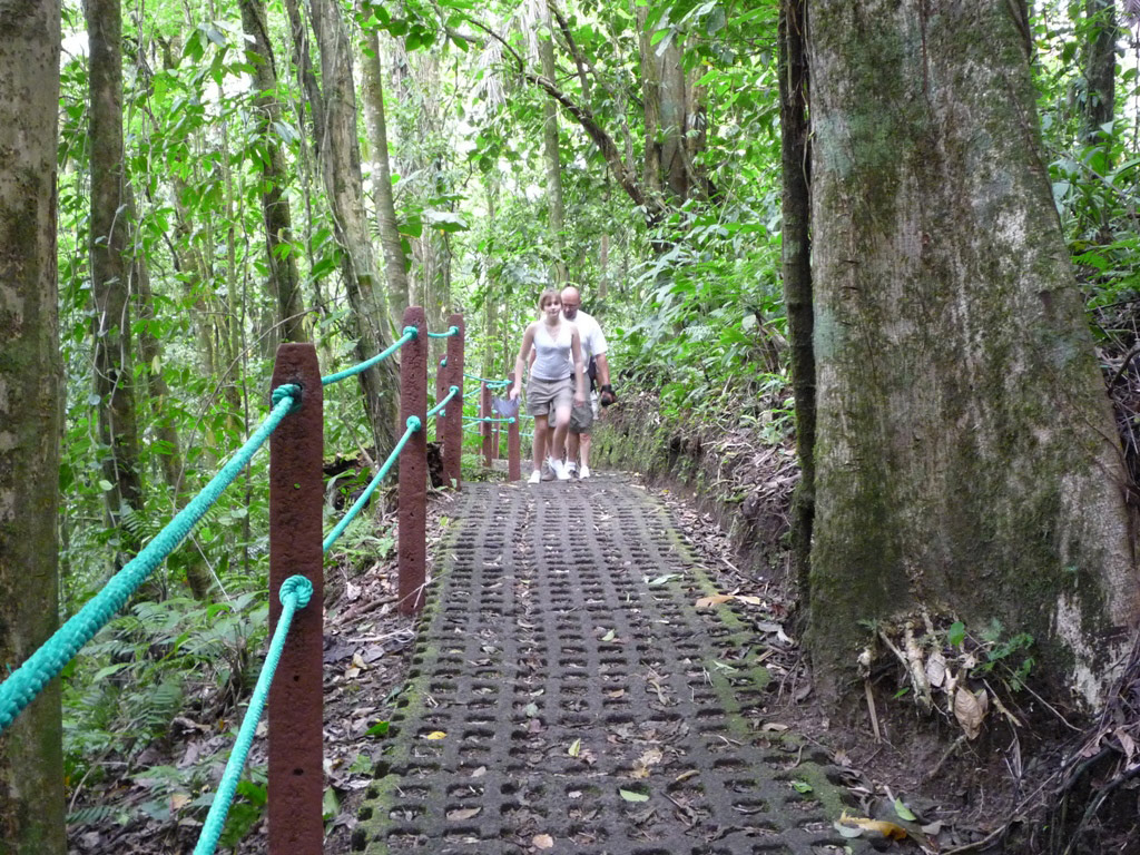 Arenal hanging bridges