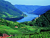 Danube and Wachau Valley Tour