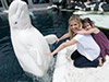 SeaWorld San Diego with Transport from Los Angeles