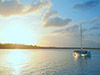 Marinarium Happy Hour