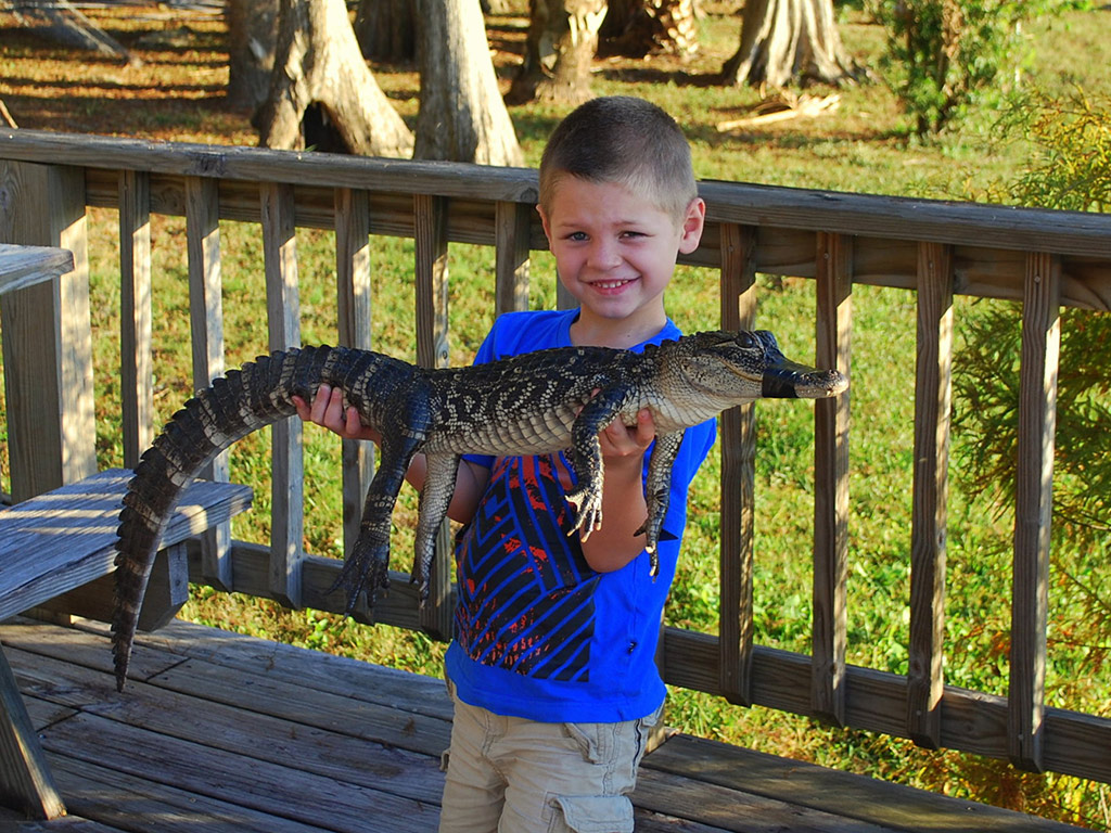 Wild Florida Airboat Tour in English