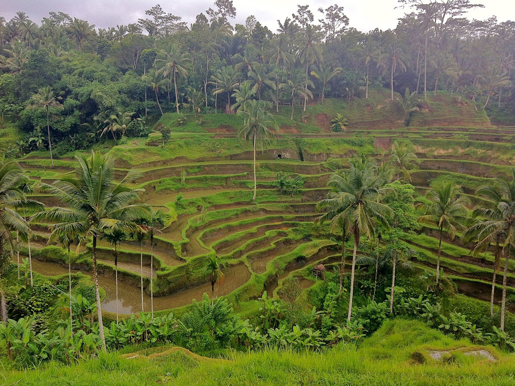 Half Day Private Charter - Bali