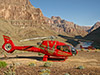VIP Skywalk Express