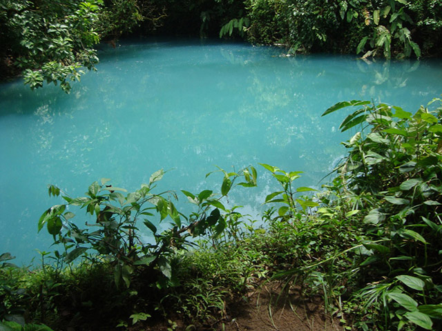 Rio Celeste Guided Rainforest Hike - Northern Mountain Zone / Arenal