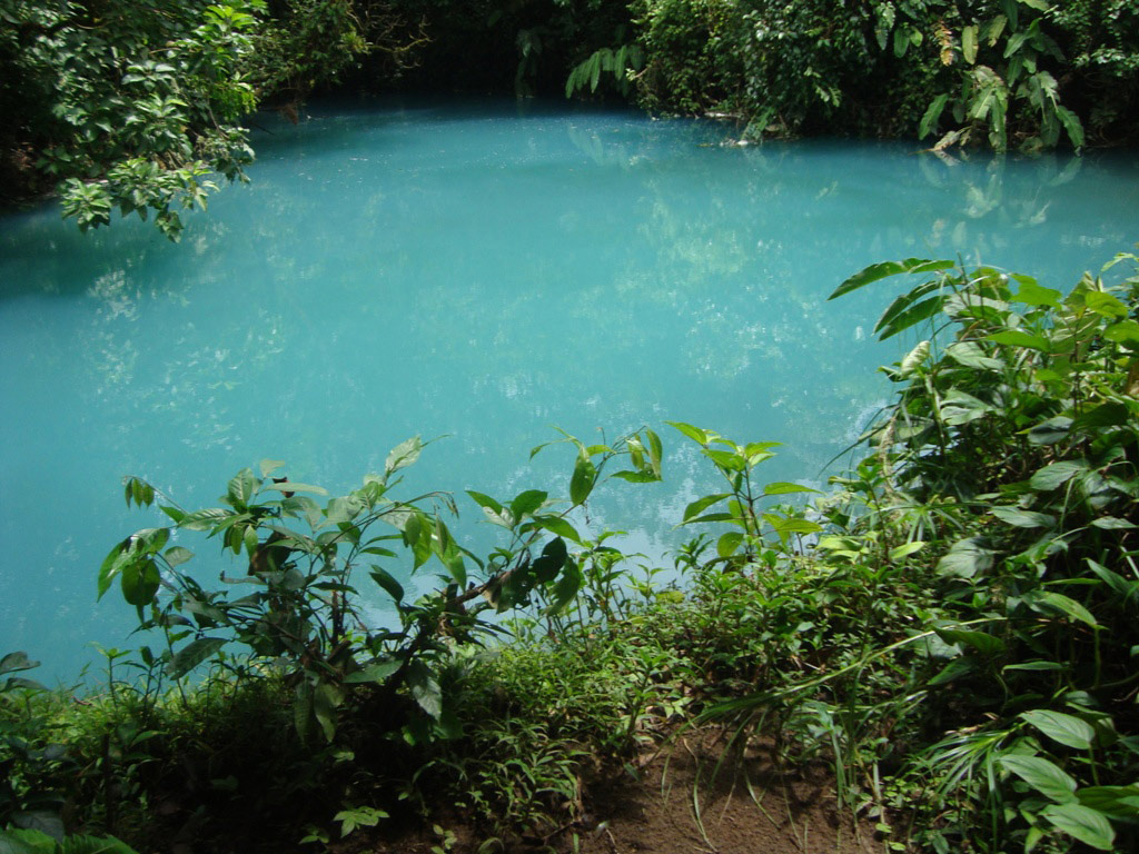 Rio Celeste Guided Rainforest Hike - Northern Mountain Zone / Arenal