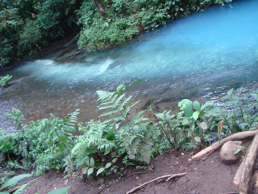 Rio Celeste Guided Rainforest Hike - Northern Mountain Zone / Arenal