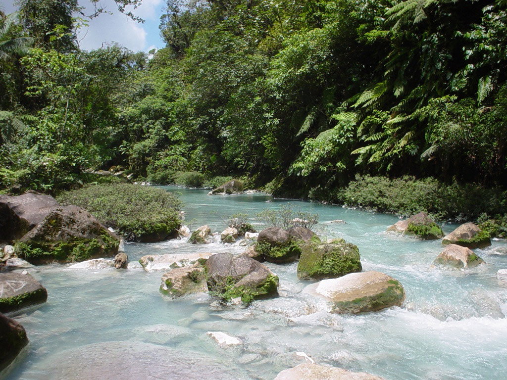 Rio Celeste Guided Rainforest Hike - Northern Mountain Zone / Arenal