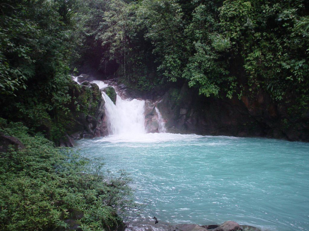 Rio Celeste Guided Rainforest Hike - Northern Mountain Zone / Arenal