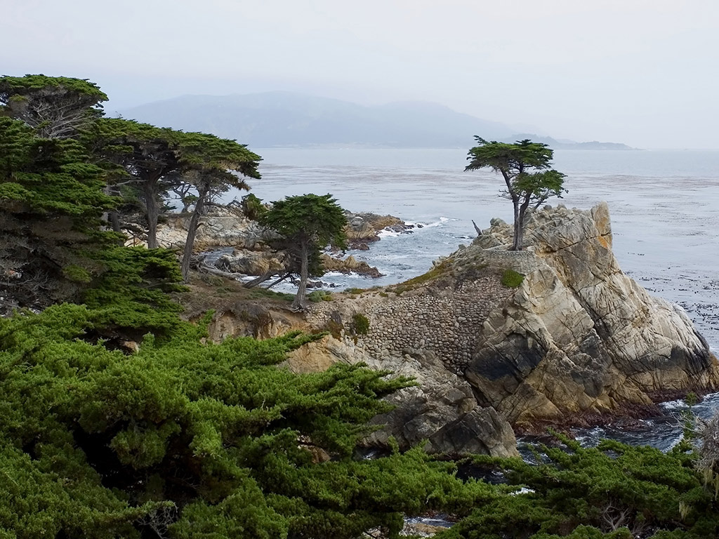 Monterey and Carmel Full-Day Tour - San Francisco