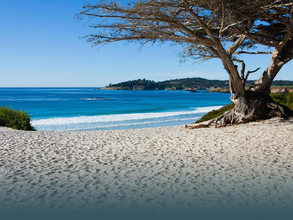 Monterey and Carmel Full-Day Tour - San Francisco