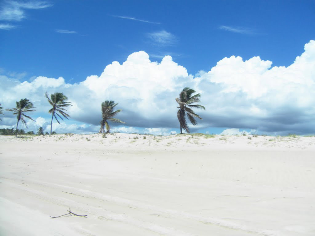 Fortaleza City Tour with a Visit to Cumbuco Beach - Full-Day Tour