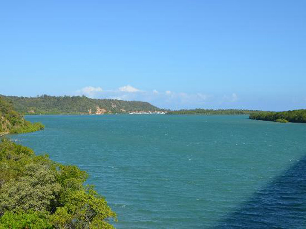 Tour to Gunga Beach - Maceio