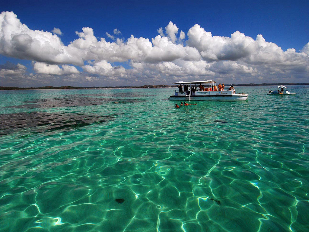 Explore Praia Maragogi - Maceio