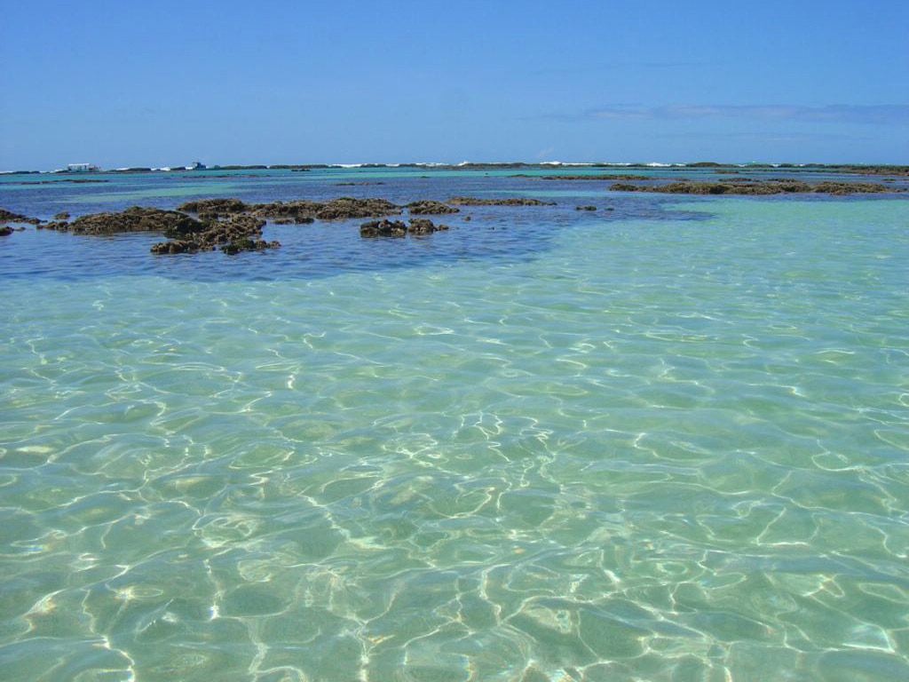 Explore Praia Maragogi - Maceio