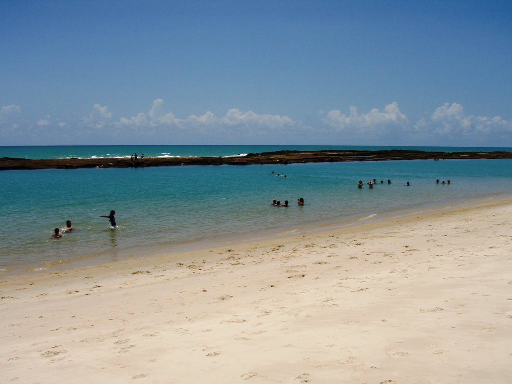 Explore the South Coast of Praia do Frances with a City Tour - Maceio