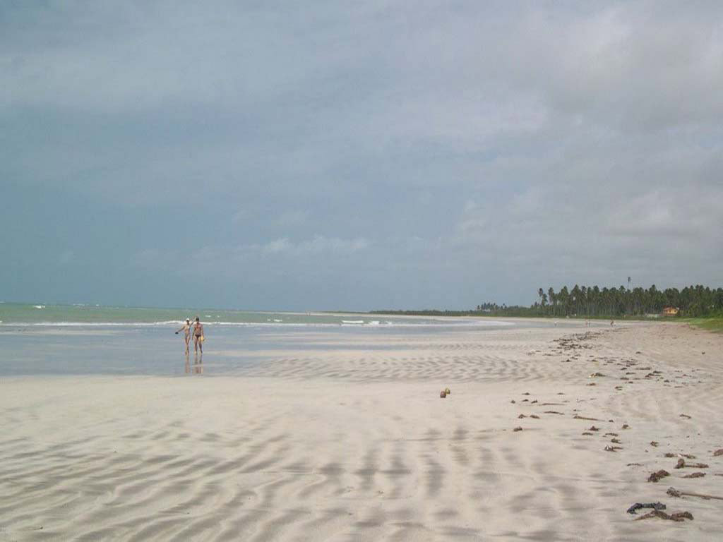 Explore the natural swimming pools of Praia de Paripueira  - Maceio