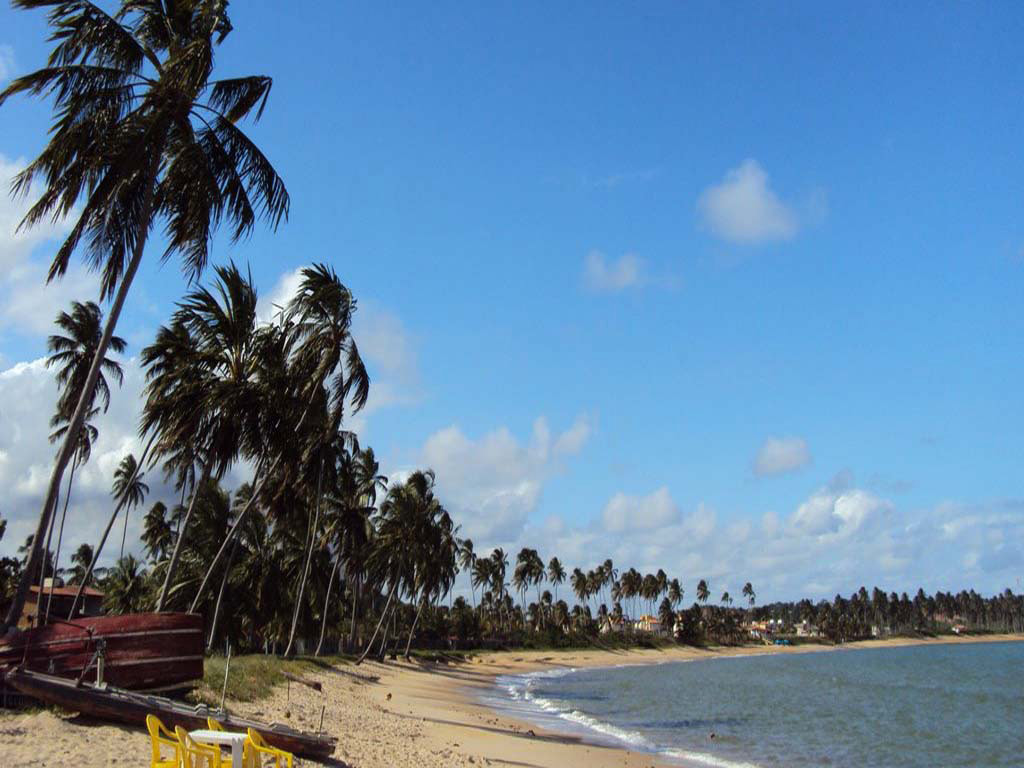 Explore the natural swimming pools of Praia de Paripueira  - Maceio