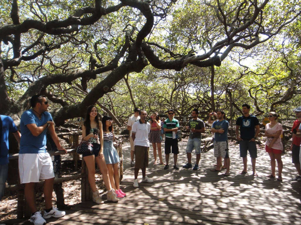 City Tour of Natal and South Coast