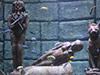 Aquarium Ticket Only with Face 2 Face Wax Museum