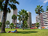 Panoramic City Tour