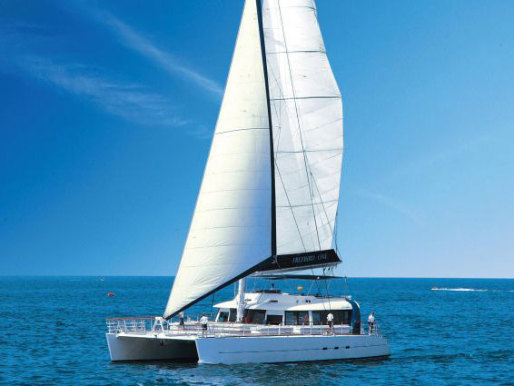 Freebird Catamaran - Tour with Pick-up from the South