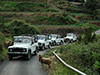 4x4 Jeep Safari