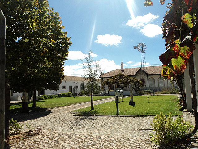 A taste of the Algarve: Flavours and Traditions - Full-Day Tour