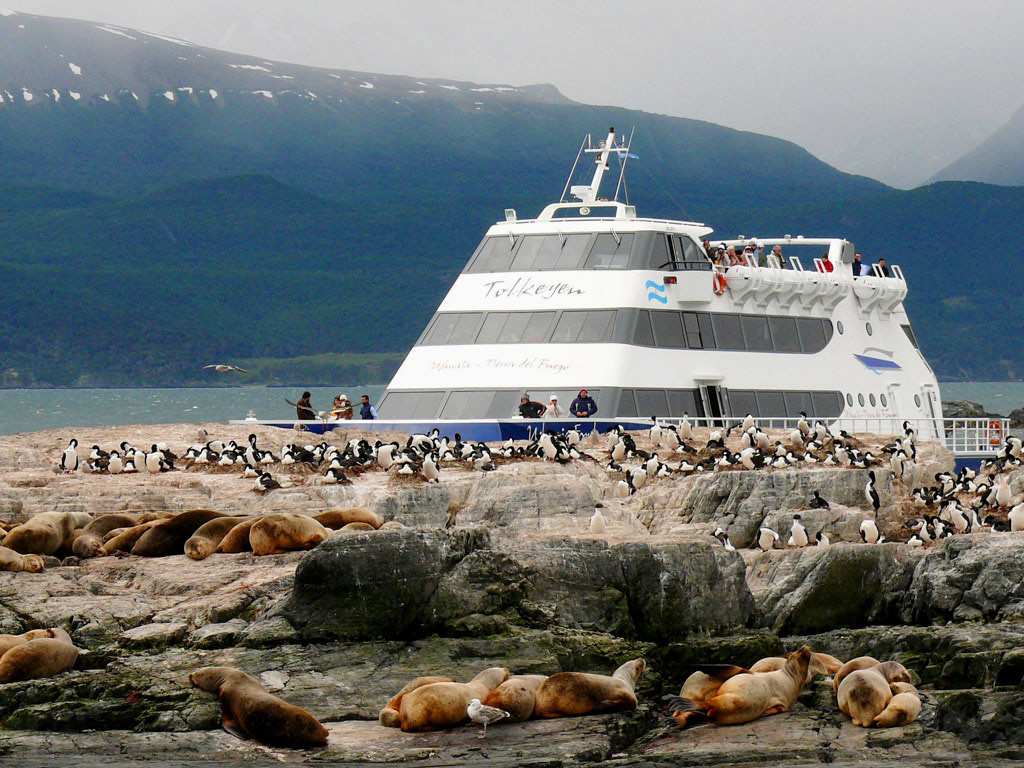 La Pingüinera - Half-Day Tour
