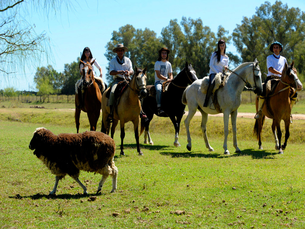 San Antonio de Areco and Ranch Tour - Buenos Aires