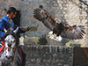 Medieval city of Provins