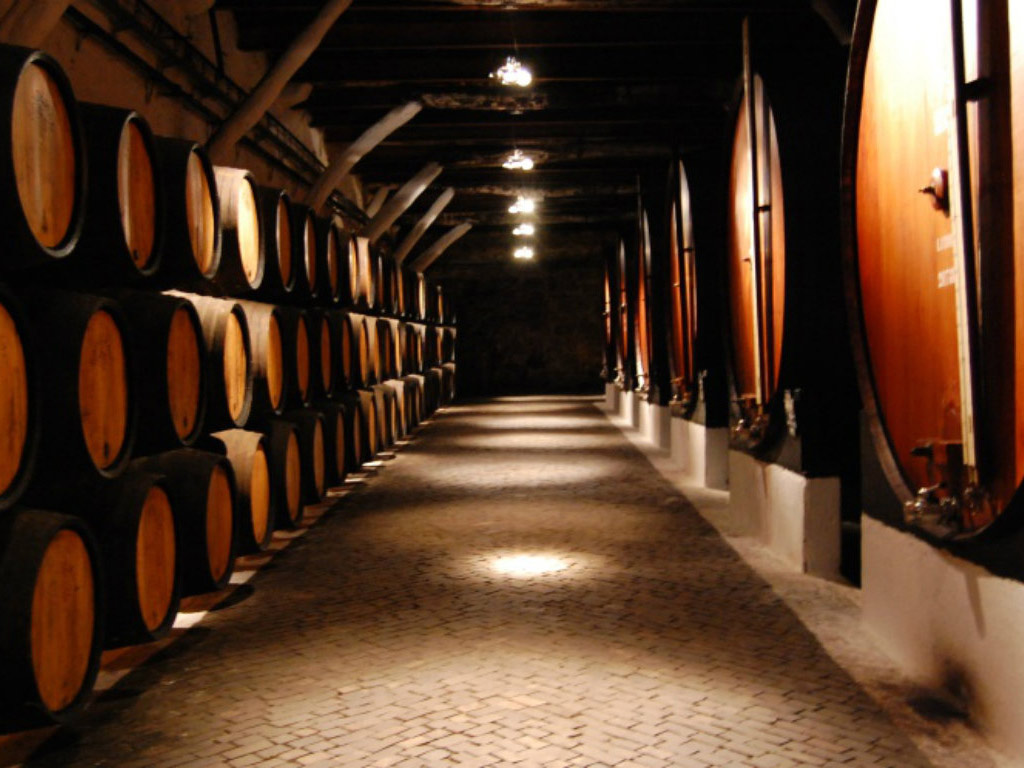 Explore the Douro Valley - Full-Day Wine Tour