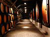 Wine Tour - Douro Valley