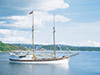 Oslo Touristic Bus and Walking Tour