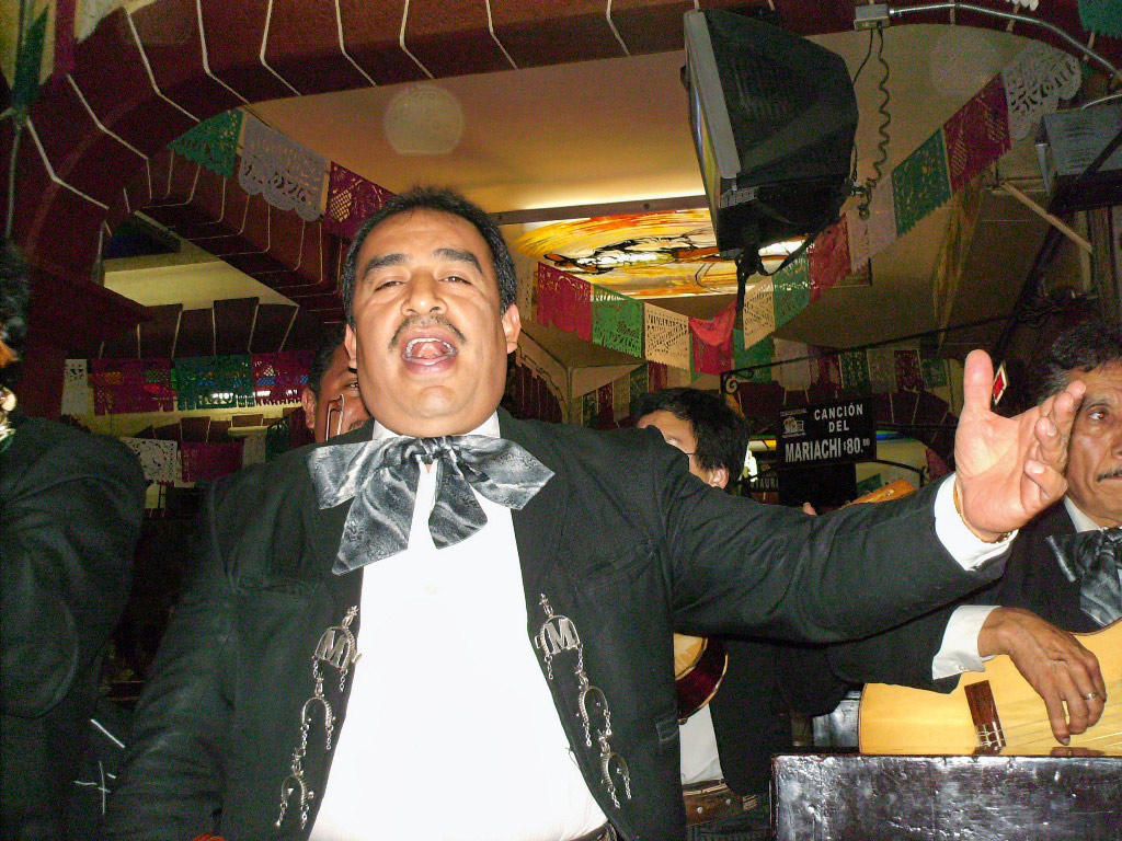 Garibaldi Tour and Mexican Folk Show - Mexico City
