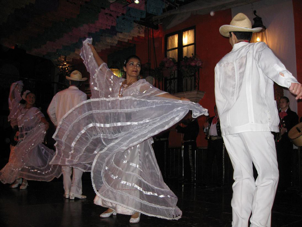 Garibaldi Tour and Mexican Folk Show - Mexico City