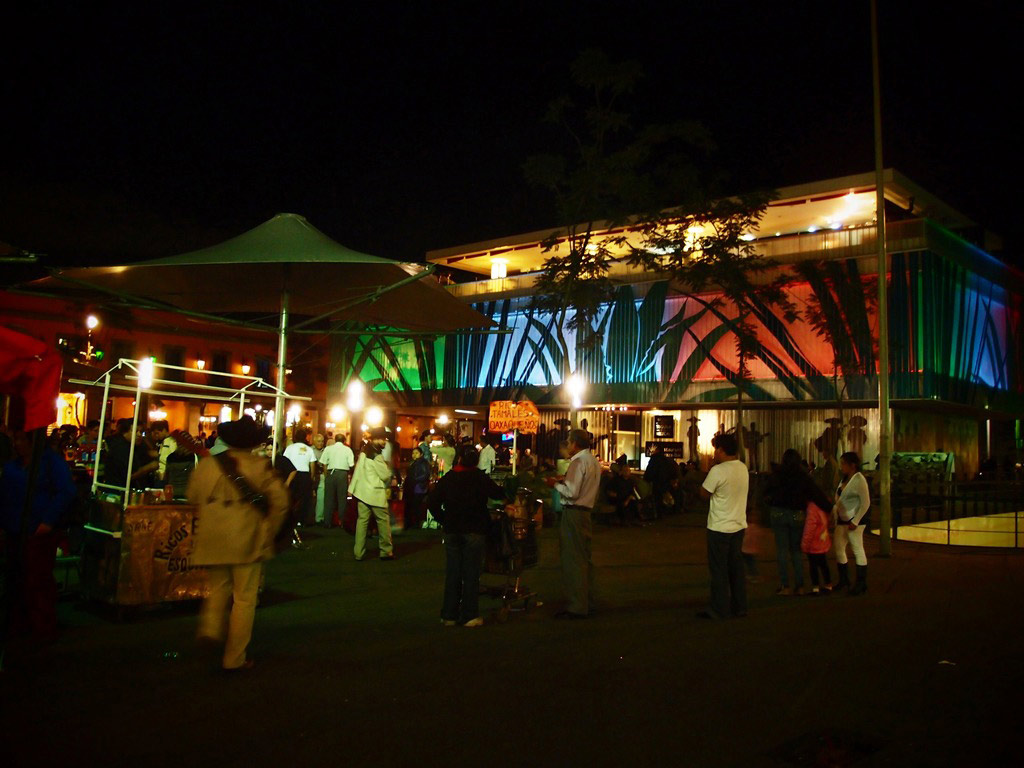 Garibaldi Tour and Mexican Folk Show - Mexico City