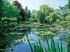 Guided Tour to Giverny: Claude Monet's House and Gardens
