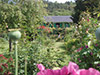Excursion to Giverny and Versailles with Hotel Pick-up - Skip the line