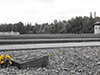 Dachau Concentration Camp