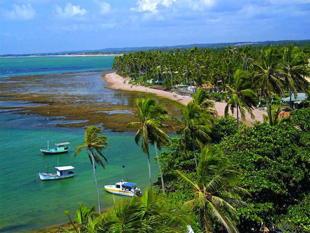 Praia Do Forte & Sea Turtle - Salvador da Bahia - Costa Do Sauipe