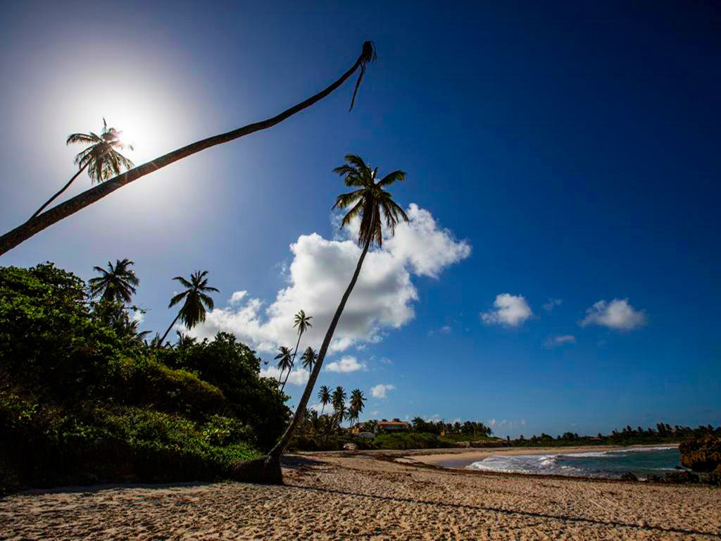 Southern Coast Beahes & Tambara. - Joao Pessoa